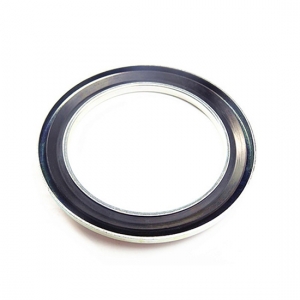 A2-19 Axial Seals / Gamma Seals