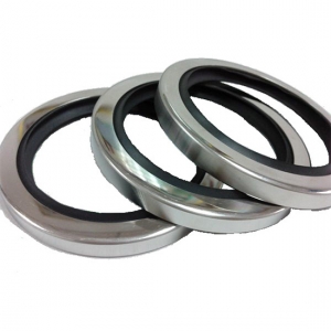 A2-10 Lip Seals